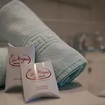Wagner Hotel 4*